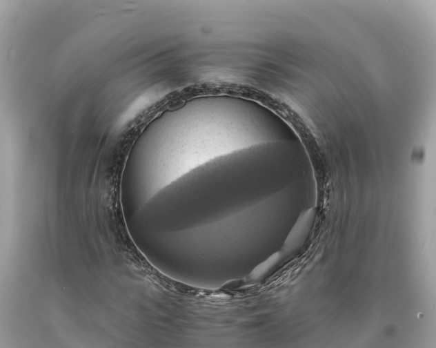 X0000093730919200710231149