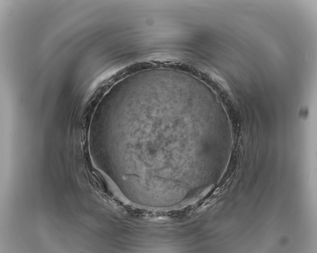 X0000093730920200710231149