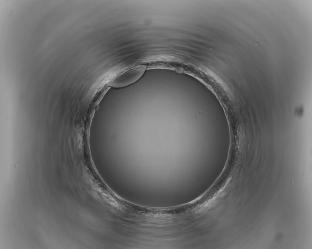 X0000093730921200710231149