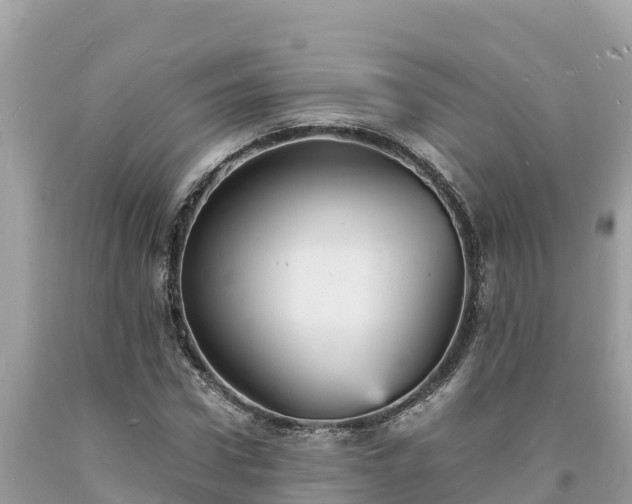 X0000093730922200710231149