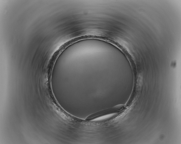 X0000093730923200710231149