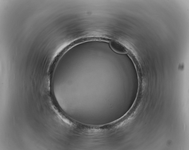 X0000093730925200710231149