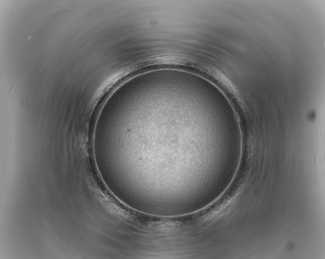 X0000093730930200710231149