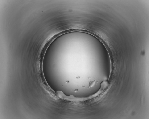 X0000093730931200710231149