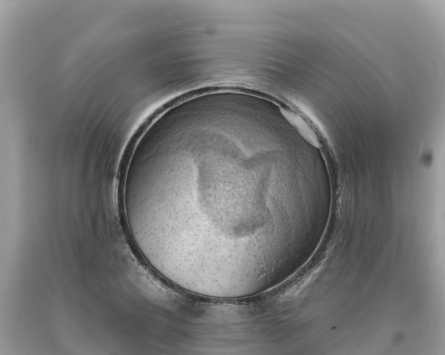 X0000093730932200710231149
