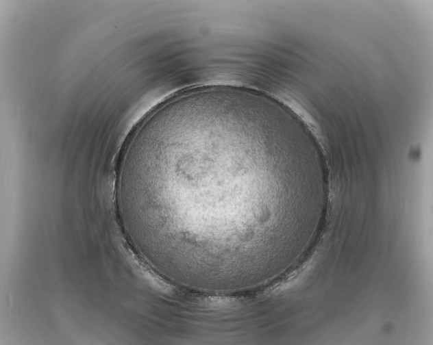 X0000093730933200710231149
