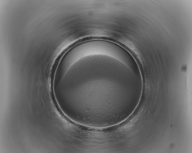 X0000093730935200710231149