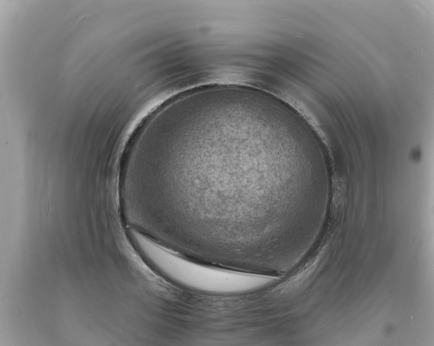 X0000093730939200710231149