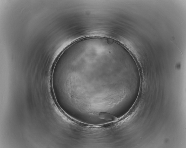 X0000093730941200710231149