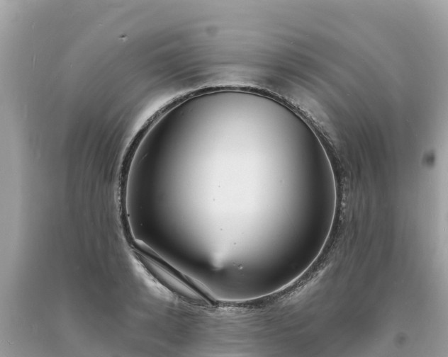X0000093730942200710231149