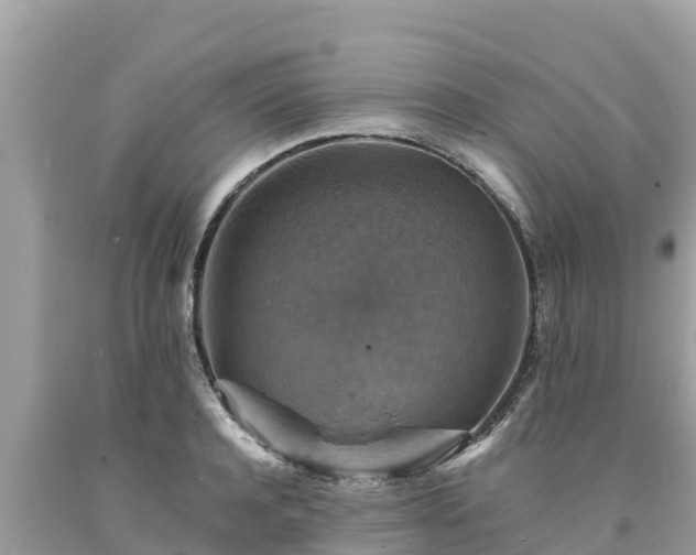 X0000093730944200710231149
