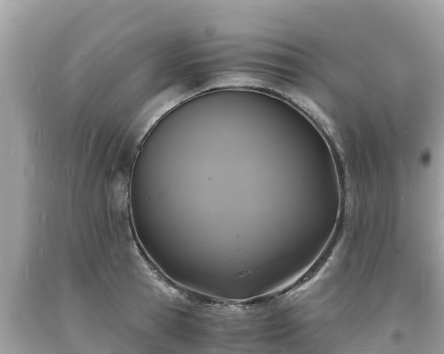 X0000093730945200710231149