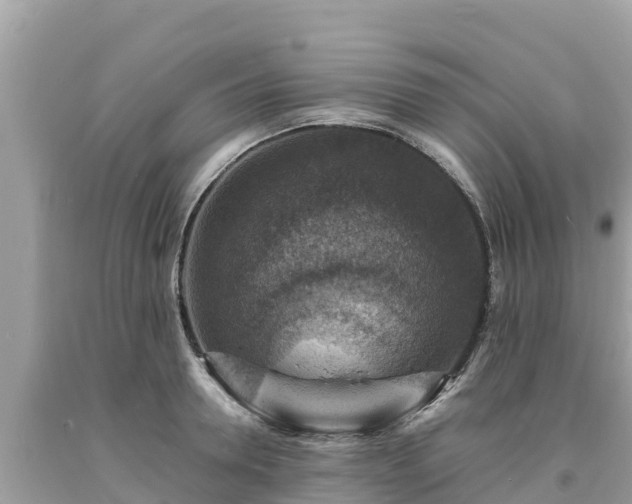 X0000093730946200710231149