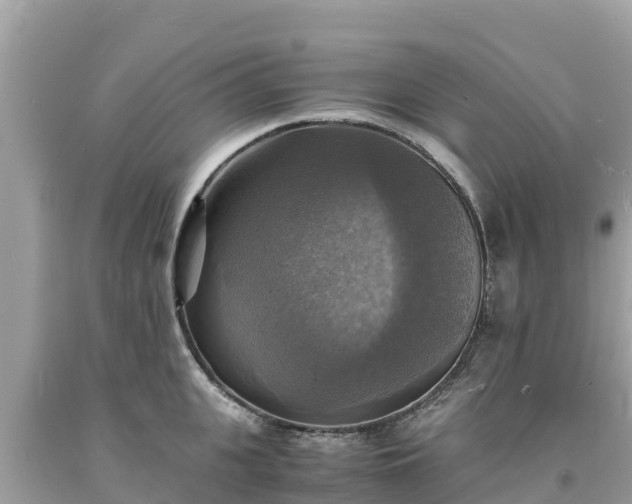 X0000093730951200710231149