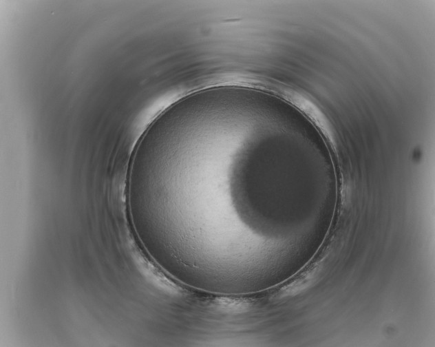 X0000093730954200710231149
