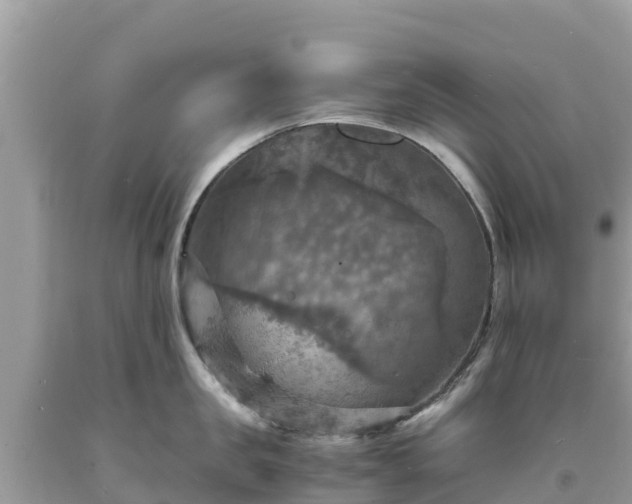 X0000093730957200710231149