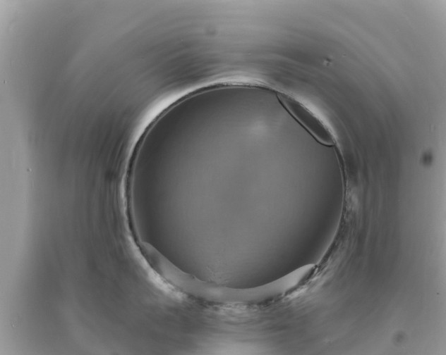 X0000093730959200710231149