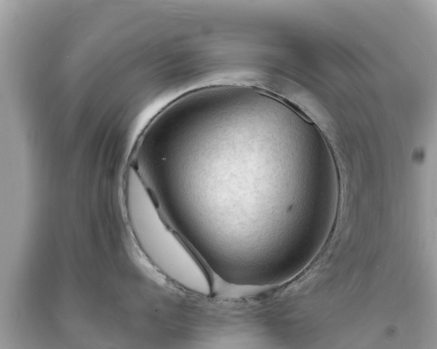 X0000093730960200710231149