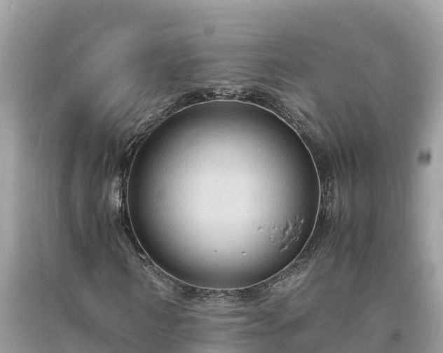 X0000093730962200710231148