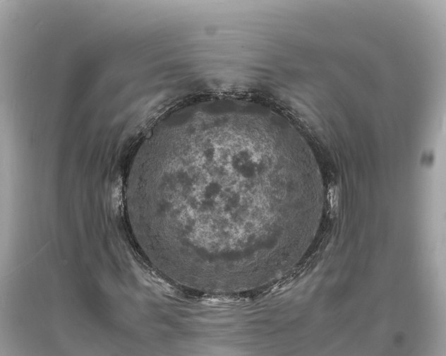 X0000093730963200710231148