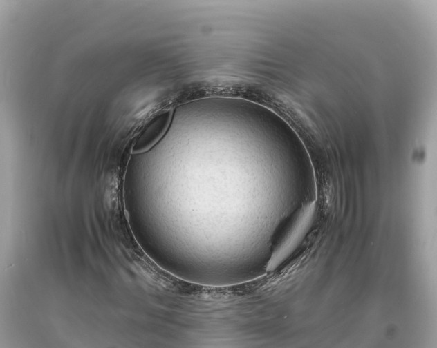 X0000093730964200710231148