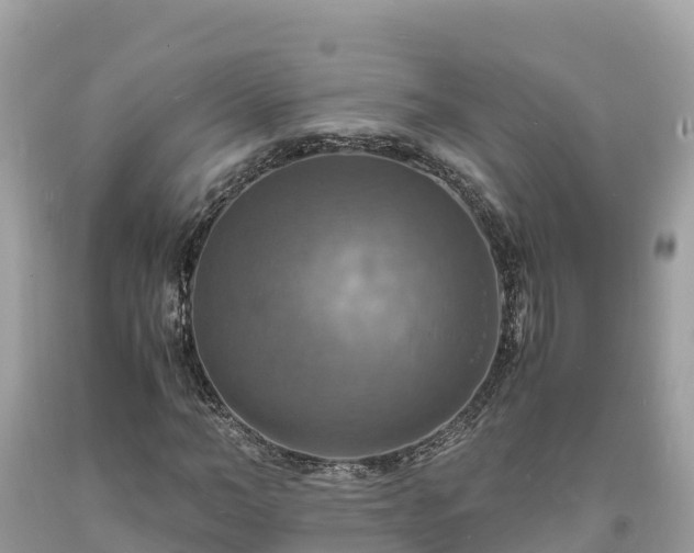 X0000093730966200710231148