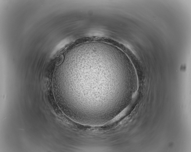 X0000093730967200710231148