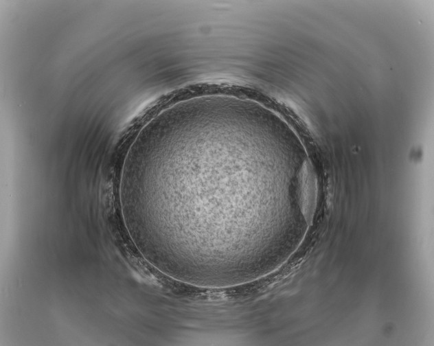 X0000093730968200710231148