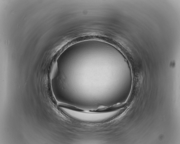 X0000093730969200710231148