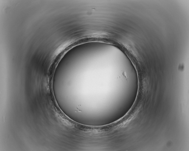 X0000093730970200710231148