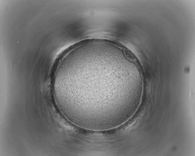 X0000093730971200710231148