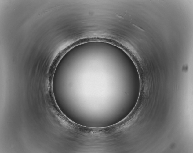 X0000093730974200710231148