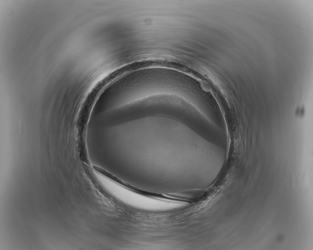 X0000093730975200710231148