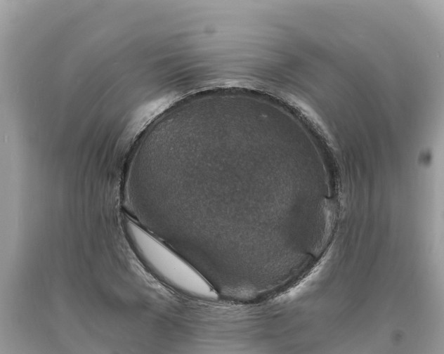 X0000093730977200710231148