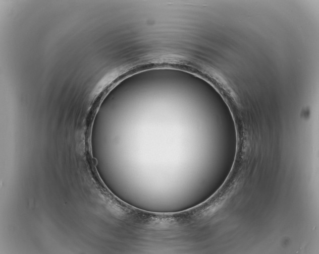 X0000093730978200710231148