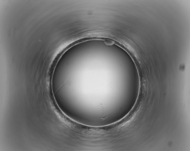 X0000093730981200710231148