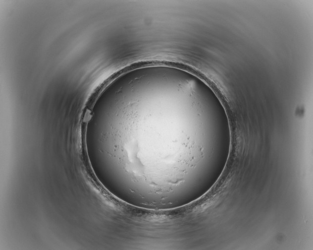 X0000093730982200710231148