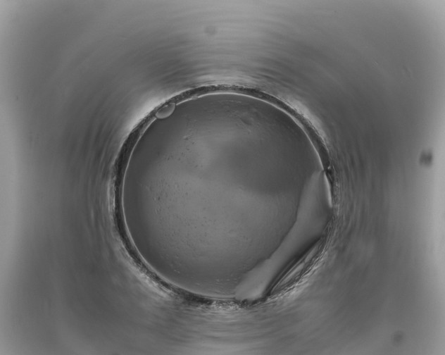 X0000093730983200710231148