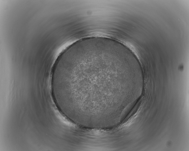 X0000093730987200710231148