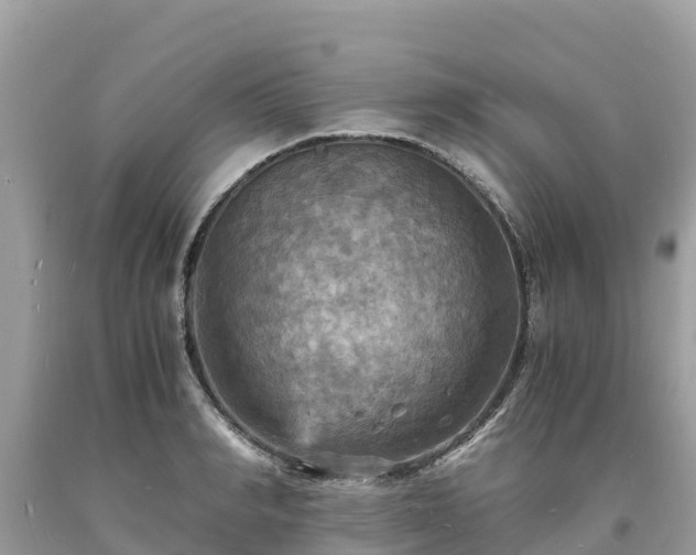 X0000093730990200710231148