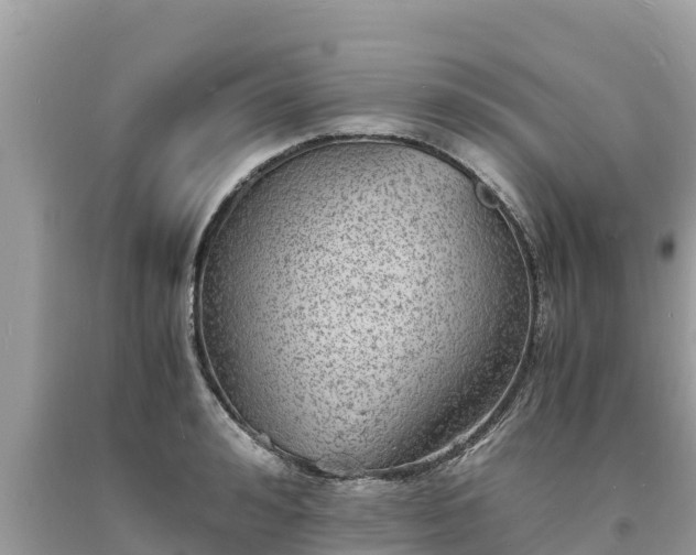 X0000093730992200710231148