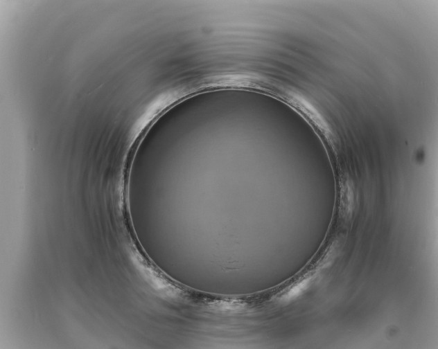 X0000093730994200710231148