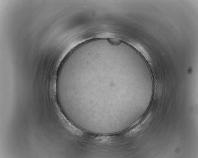 X0000093731000200710231148