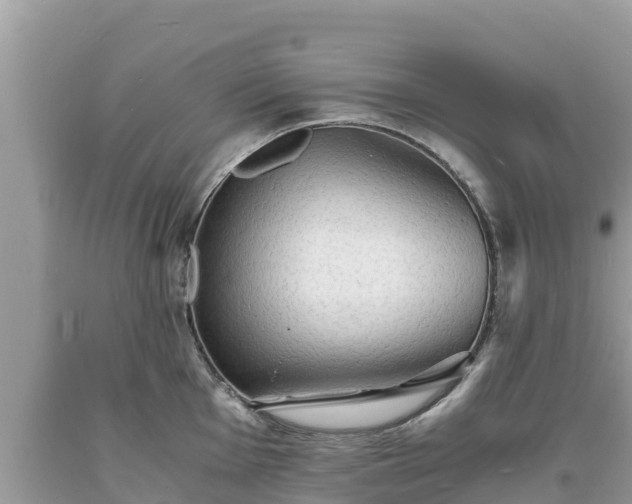 X0000093731001200710231148