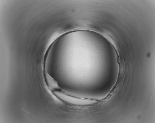X0000093731005200710231148