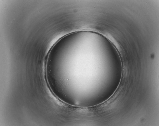 X0000093731006200710231148