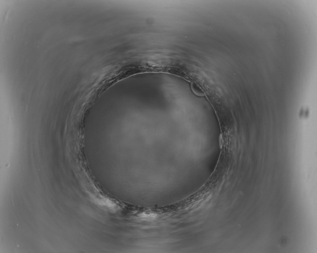 X0000093731009200710231147
