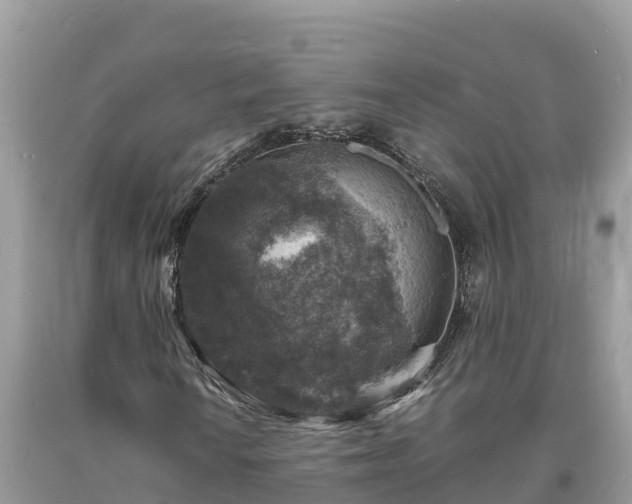 X0000093731010200710231147