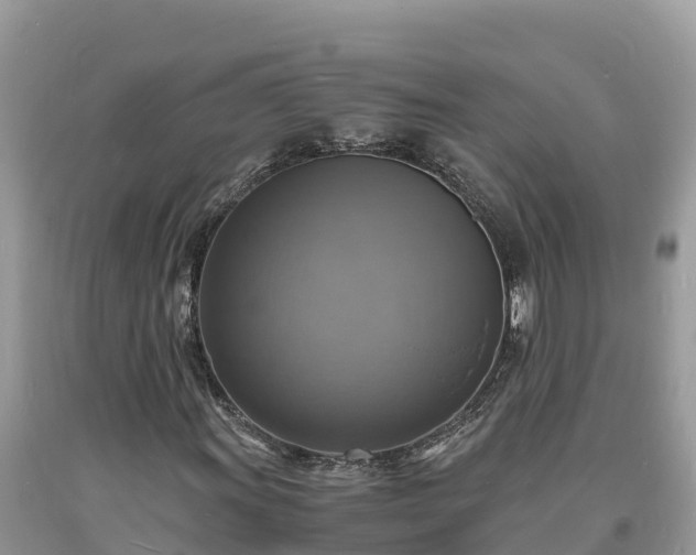 X0000093731011200710231147