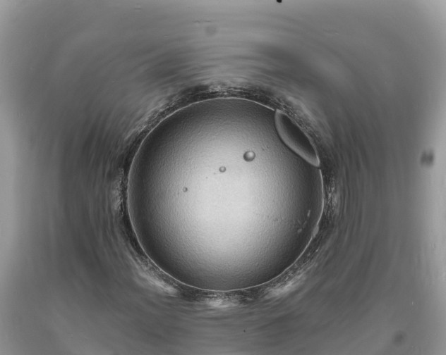 X0000093731012200710231147